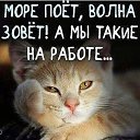 ���� Alex M, ��������� - ��������� 27 ������� 2020 � ������ �������