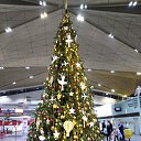 �������� �����-���������� 2020. ������) �� ������� ���� ����������