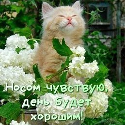 ����, �����������, 37 ���