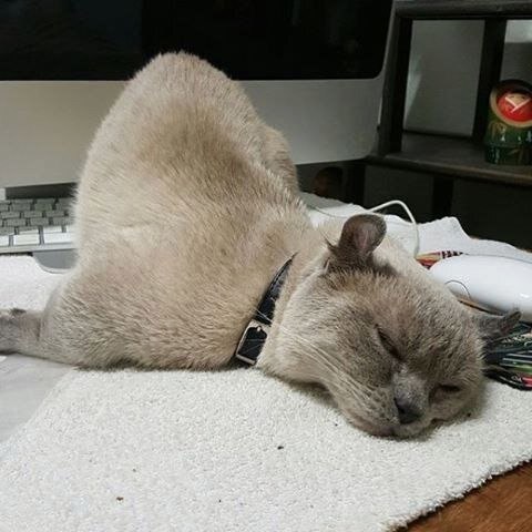  !