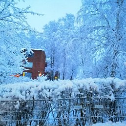 Vladimir, ���������, 43 ����