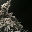 ���� �������, ������, 56 ��� - ��������� 21 ������ 2021 � ������ ���� ����������