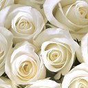 ���� �������, ��, �������� - ��������� 20 ������ 2021 � ������ ������..�