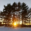  ,  , 63  -  24  2021    