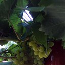 ���� ������, ����� - ��������� 4 ������� 2020 � ������ ������������