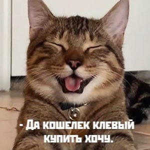       - 19  2021  14:36 - 3