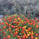 ���� ����, ����� - ��������� 6 ������� 2020 � ������ ���� ����������