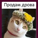 ���� ��������, ��������, 56 ��� - ��������� 24 ������� 2020 � ������ ������ ��������