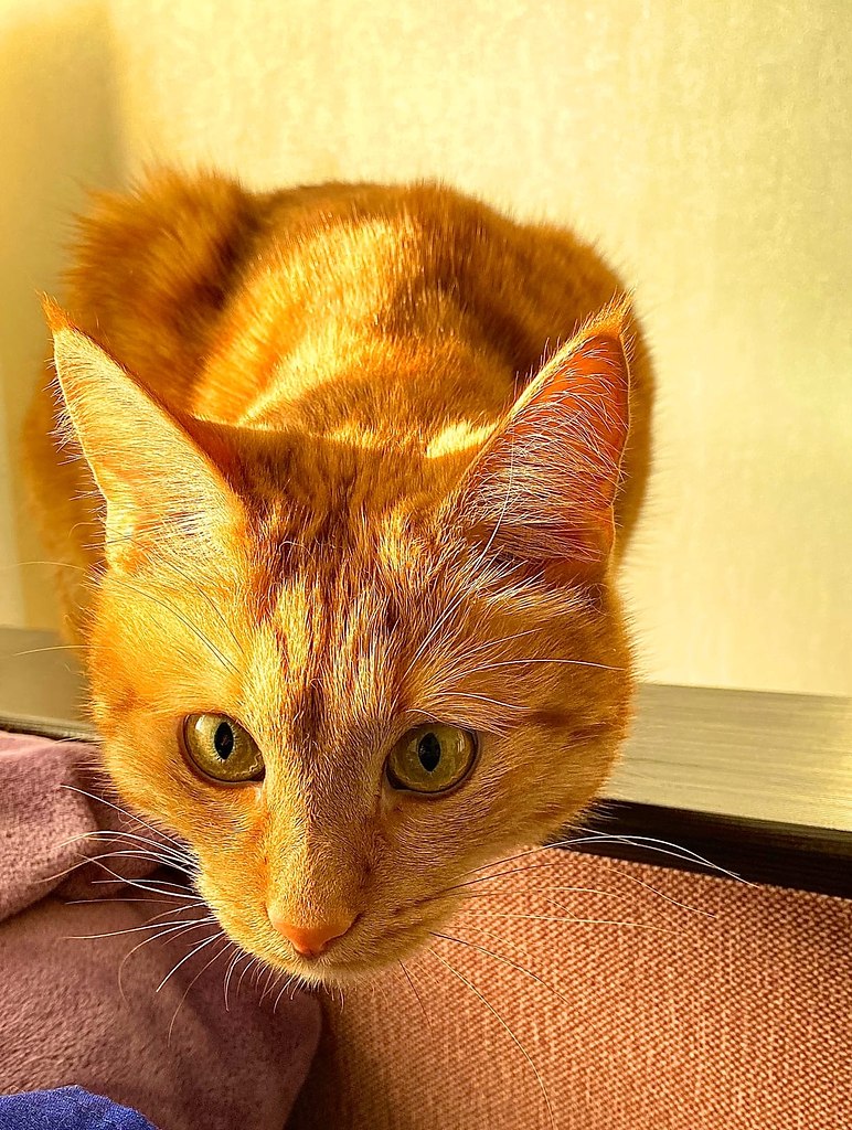 ,  ! - , ?   ?.,   ... - 2