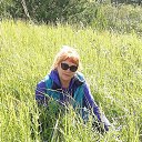 ���� ������, ������-��� - ��������� 19 ������� 2020 � ������ ���� ����������