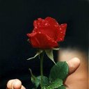  , -, 77  -  14  2021    