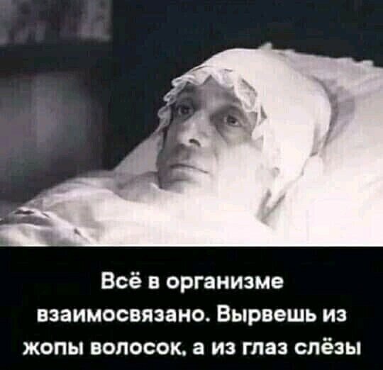 Zemlyanika - 18  2021  21:54 - 5