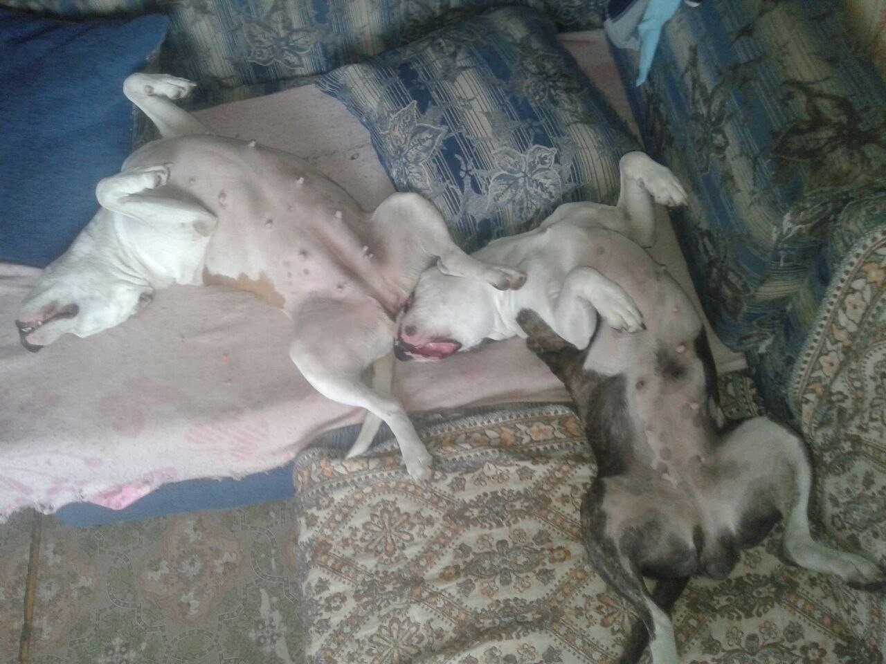 ��������))))