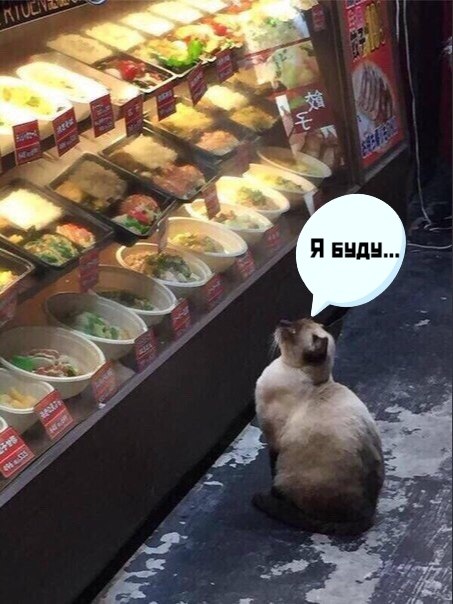  ,   )))) - 2