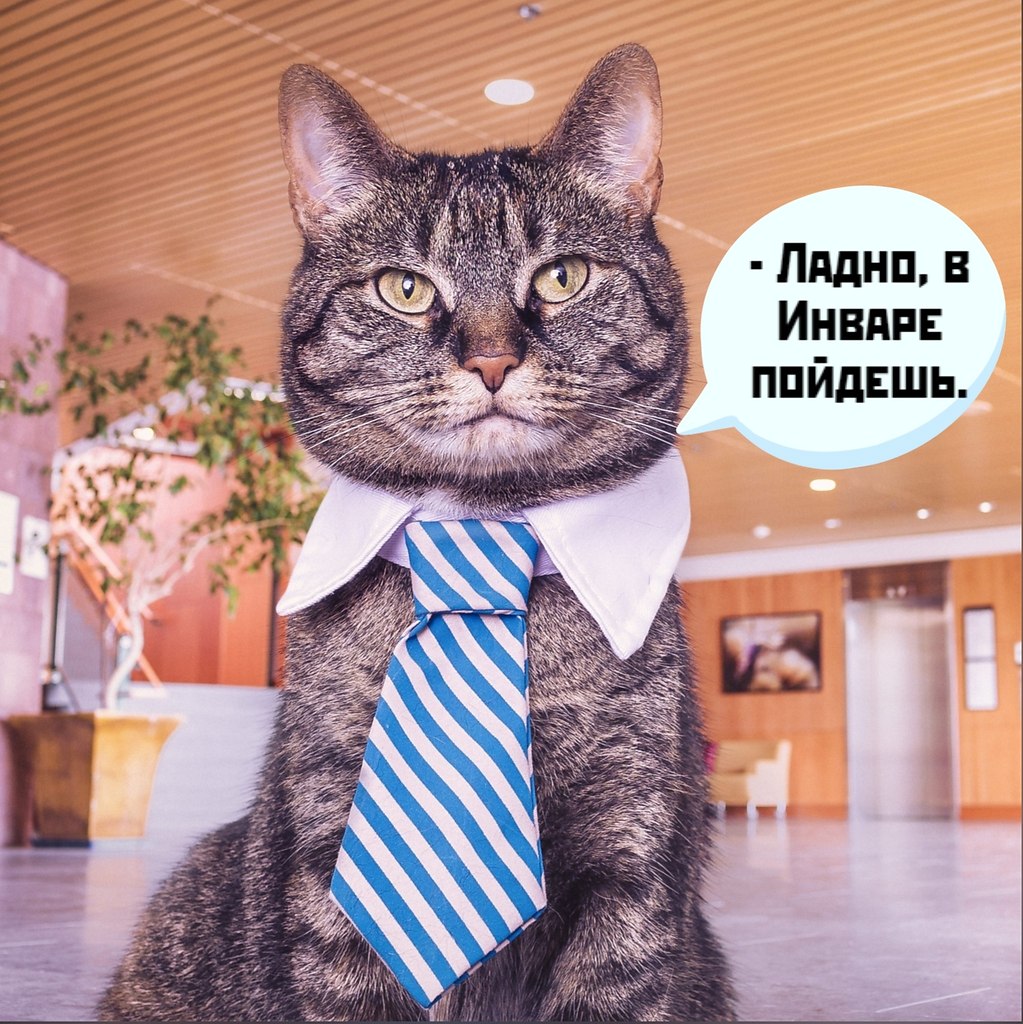       - 12  2020  18:27 - 3