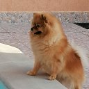 ���� �����, ��������, 55 ��� - ��������� 8 ������ 2021 � ������ ���� ����������