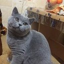 ���� ������ �� ���!, ������ - ��������� 25 ����� 2021 � ������ ������ ��������