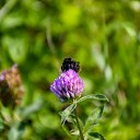 ���� ������� ���������, ������ - ��������� 23 ������� 2020 � ������ ����� 22.08.20�