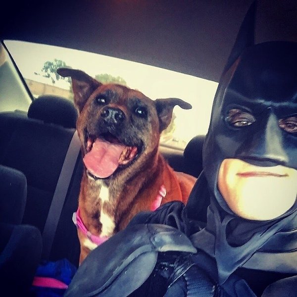  e  oc,    Bat Mobile  pa  ace   ... - 4