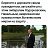 ���� ���������, ���� - ��������� 29 ������ 2021