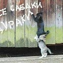 ���� ������, ������, 48 ��� - ��������� 15 ������� 2020 � ������ ���� ����������