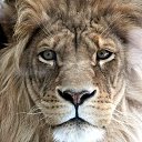 ���� Toni, ������� - ��������� 4 ������� 2020 � ������ ���� ����������