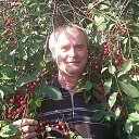 ���� �����, �����-���������, 68 ��� - ��������� 24 ������� 2020 � ������ ���� ����������