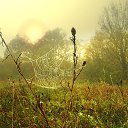 ���� �������, �������, 73 ���� - ��������� 12 �������� 2020 � ������ ������ ��������