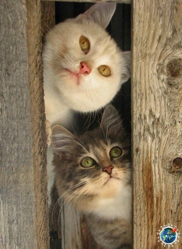 �epe�e�c��e �o��, �a� o�������� ��� ����o��.������� - 4