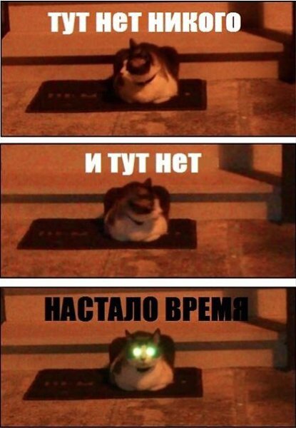    - 5  2021  20:41