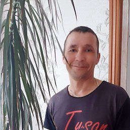 ������, ��������, 46 ���