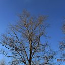 ������ ���� ������� ��� �����. ����� ������������! �� ������ ����� �� ������� 23.11.2020... �� ������� ��� ����...�