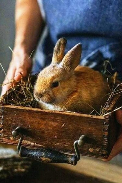 Зимний уют - это соединение морозной красоты за окном с теплотой и приятными мелочами, ждущими нас ... - 3