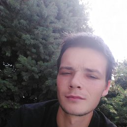 , 29, 