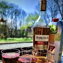 ���� Shotlens, �����������, 46 ��� - ��������� 15 �������� 2020