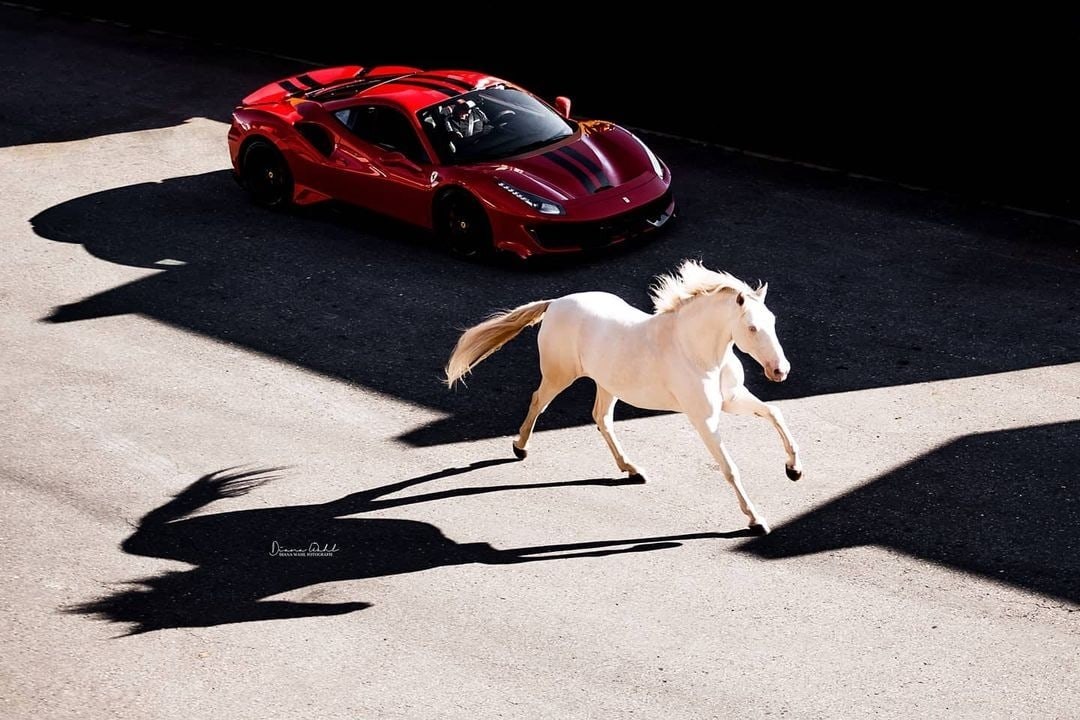 #ferrari@autocult - 2