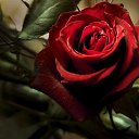 ���� ������, ������, 65 ��� - ��������� 7 ������� 2020 � ������ ������ ��������