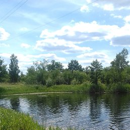 Lizza, ������