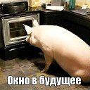 ���� ��������, ������, 53 ���� - ��������� 8 ������� 2020 � ������ ������ ��������