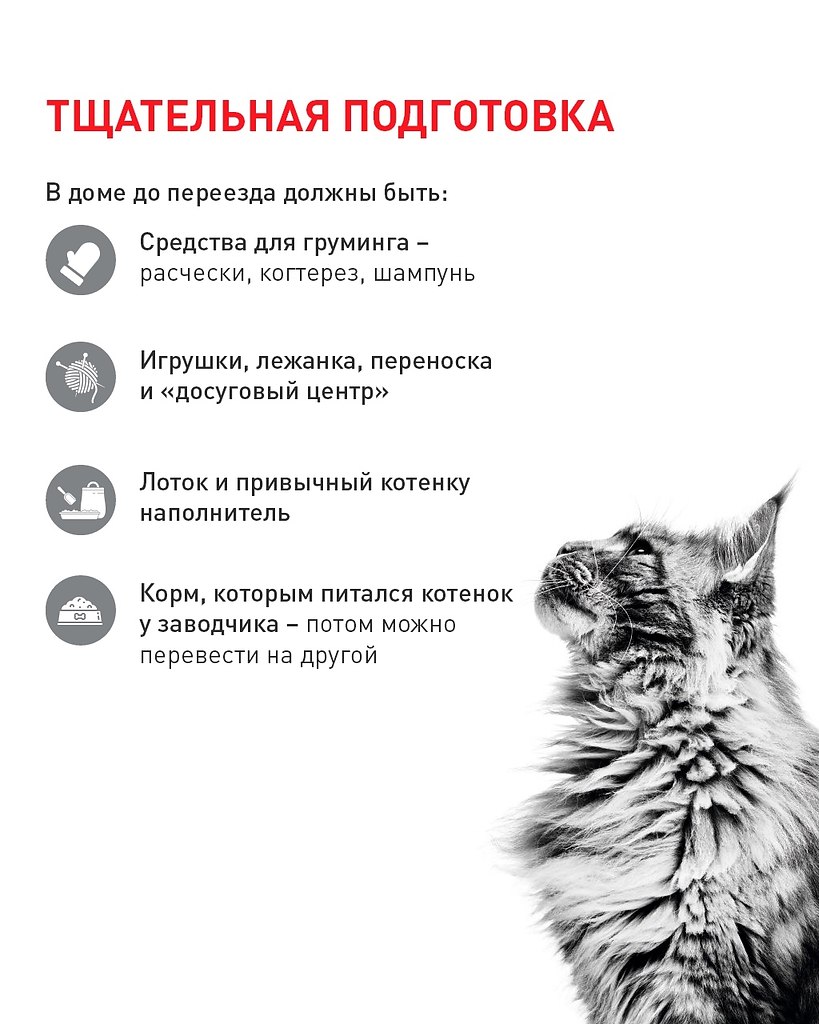 Обустройство зоны