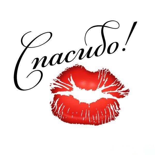   ,    . - 27  2021  19:16 - 3