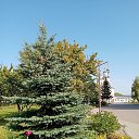 ���� �����, �������, 59 ��� - ��������� 28 �������� 2020 � ������ ��������� ������� ���������.�