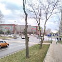 ���� ������, ������ - ��������� 19 ������� 2021 � ������ ���������� ����