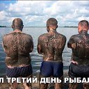 ���� ������, �������, 48 ��� - ��������� 8 �������� 2020 � ������ ���� ����������