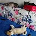 ���� O�����, ����������, 55 ��� - ��������� 12 ������� 2020 � ������ ���� ����������