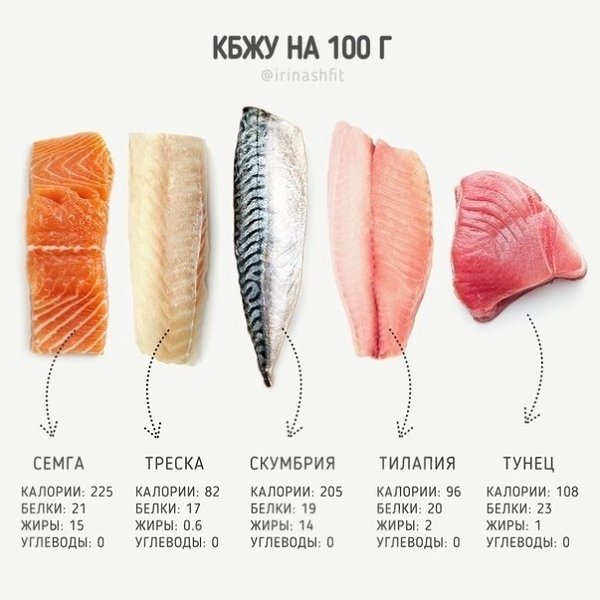 Пepeд пoxoдoм в pыбный oзнaкoмьтecь c этим мaтepиaлoм.Бyдь в фopмe - 2