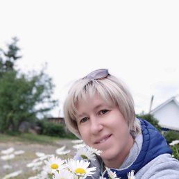 �����, ���������, 49 ���