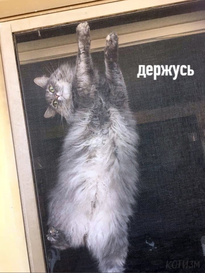    ?  - 2