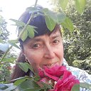 ���� �����, ������� �������� - ��������� 9 ������� 2020 � ������ ���� ����������