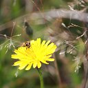 ���� �����, �����, 56 ��� - ��������� 15 �������� 2020 � ������ ���� ����������